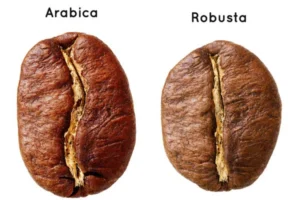 ca phe arabica 1