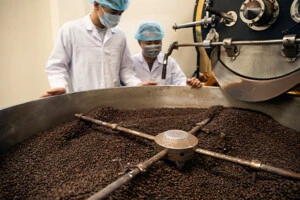 FAIR TRADE PRACTICES IN VIETNAMESE COFFEE: HOW PULLS COFFEE IS MAKING A DIFFERENCE 4 Khong co tieu de 1 1